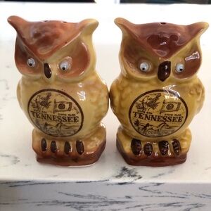 Googley Eye Owl Salt & Pepper Shakers~Tennessee VTG